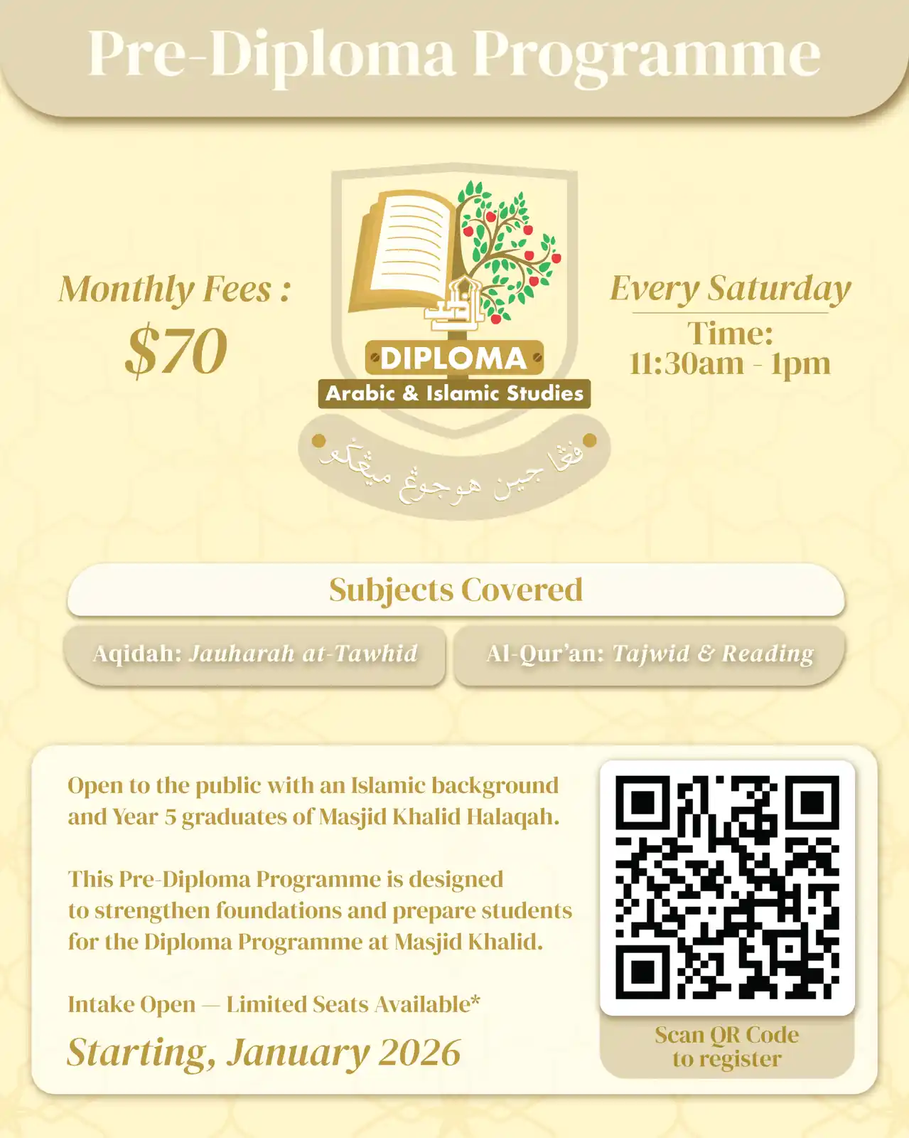 Pre-Diploma Programme